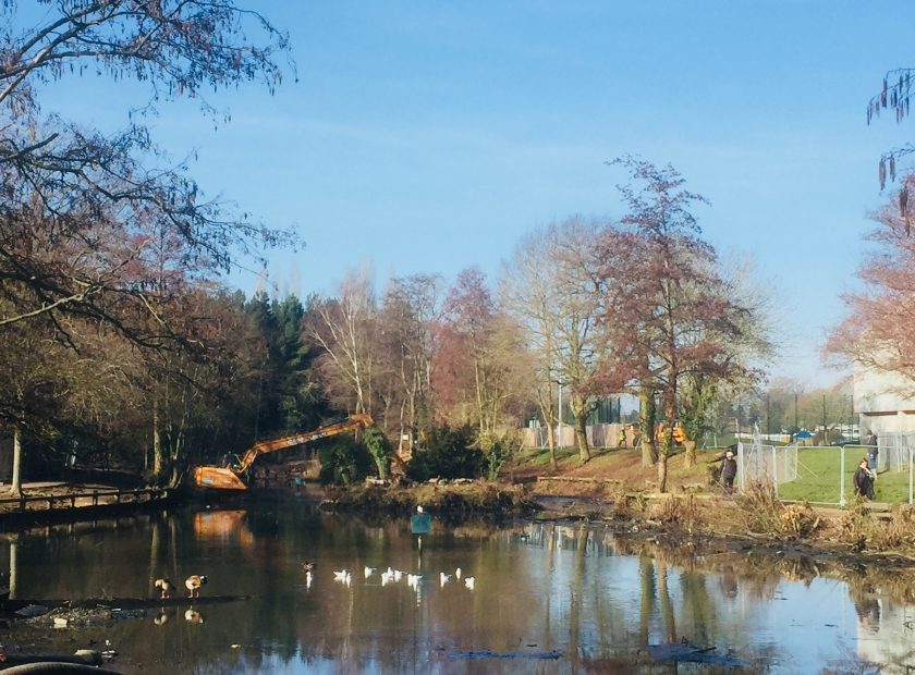 Woodford Park lake improvements February 2019
