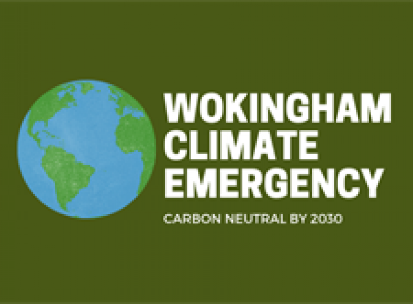 wokingham borough council climate emergency