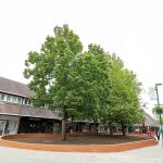 community garden seating woodley town centre
