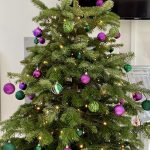sustainable Christmas tree Woodley Town Council