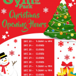 Woodford Park Leisure Centre opening hours Christmas 2021