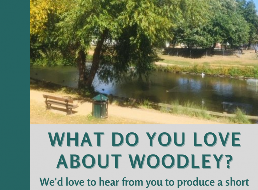 what do you love about woodley