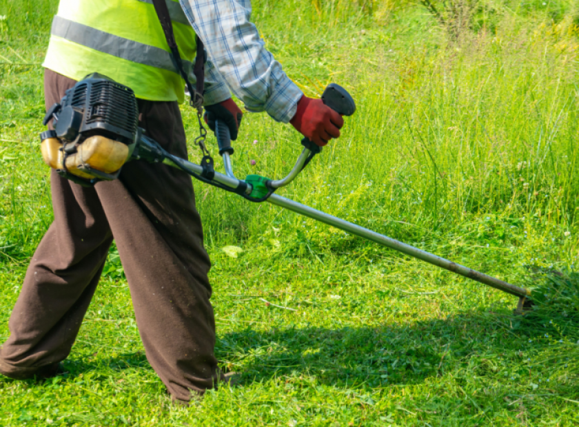 changes to grass cutting and grounds maintenance in Wokingham Borough