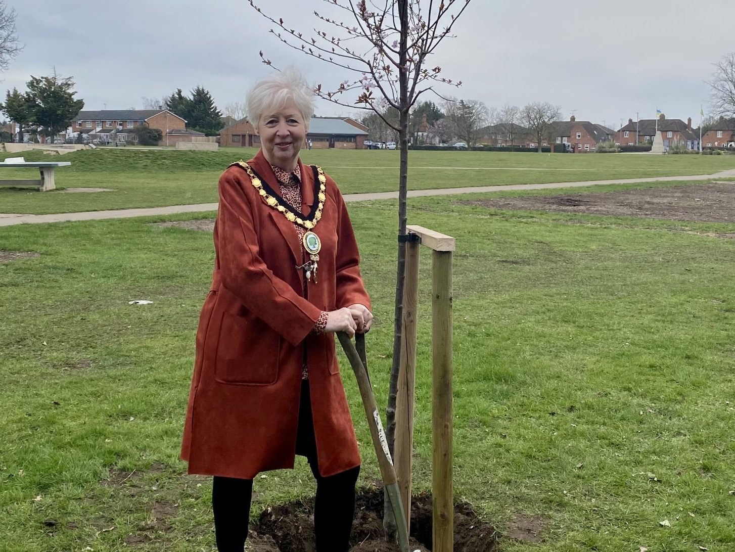 Town Mayor planting a commemorative tree for Queen Elizabeth's platinum jubilee