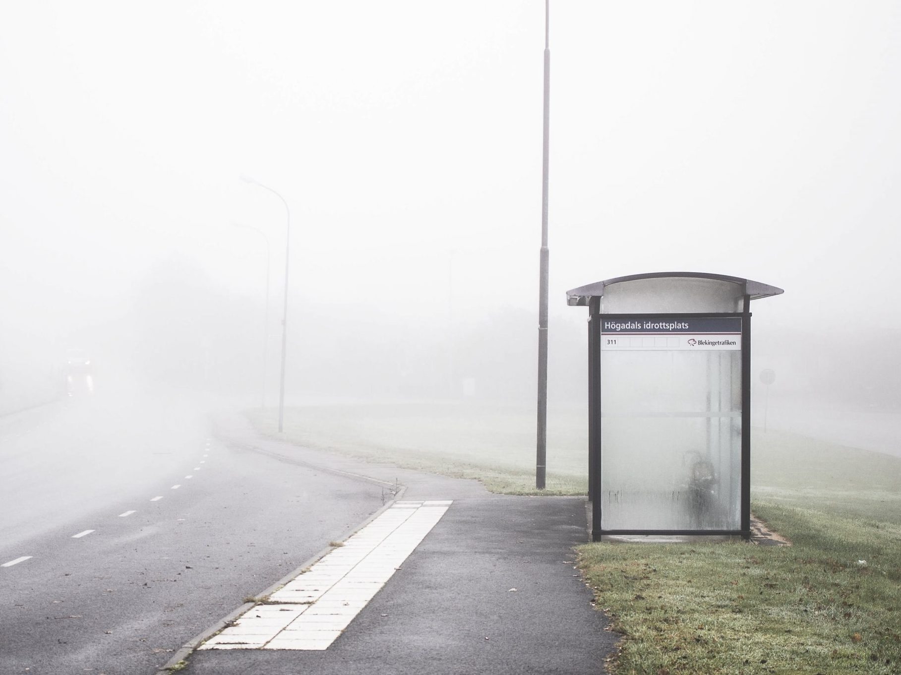 Bus stop and street lamp in fog