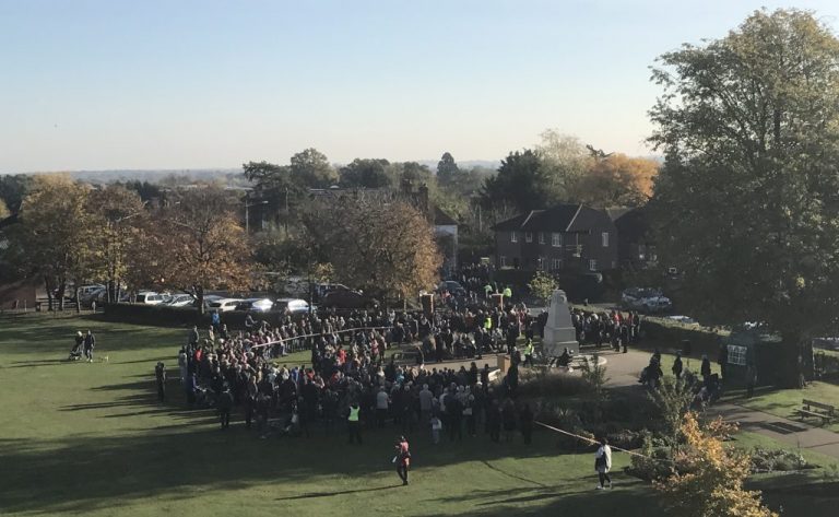 Aerial view of Armistice Day event in Woodford Park