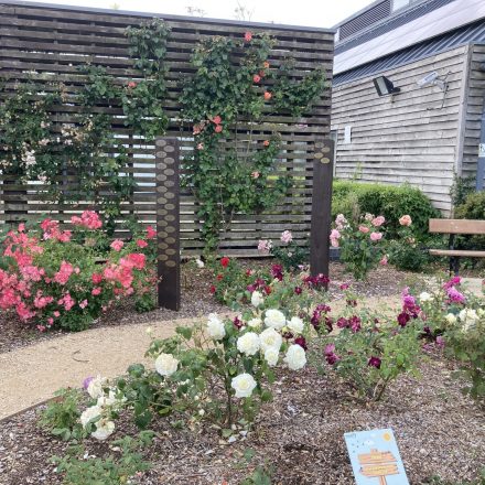 The Rotary Garden at the Oakwood Centre