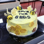 winning cake of woodley schools bake off competition