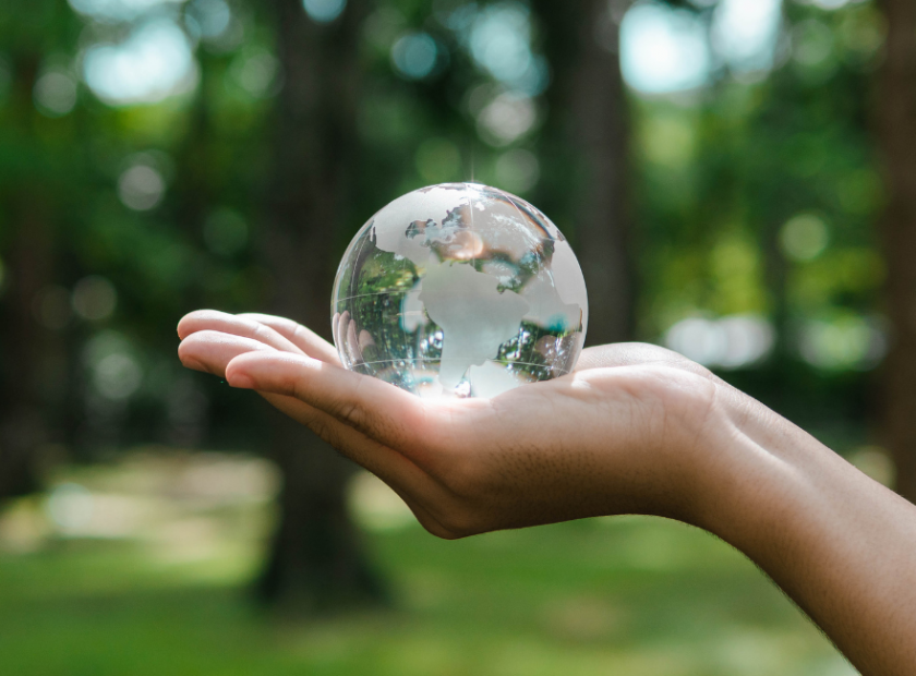 climate emergency image of a hand holding a glass globe in front of a forest
